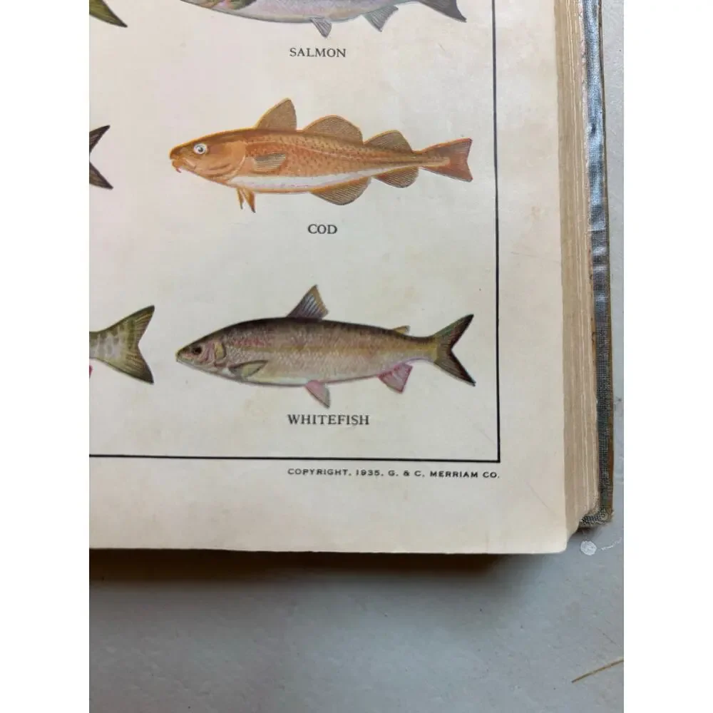 Webster's Elementary Dictionary 1935 Boys & Girls School Copy Vintage Book